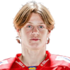 Falkenhäll William