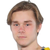 Wiberg Filip