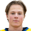 Elvsveen Patrick