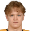 Dower Nilsson Noah