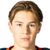 Sahlin Wallenius Leo